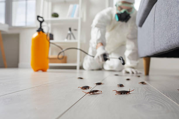 Commercial Kitchen Cockroach Control in Loretto